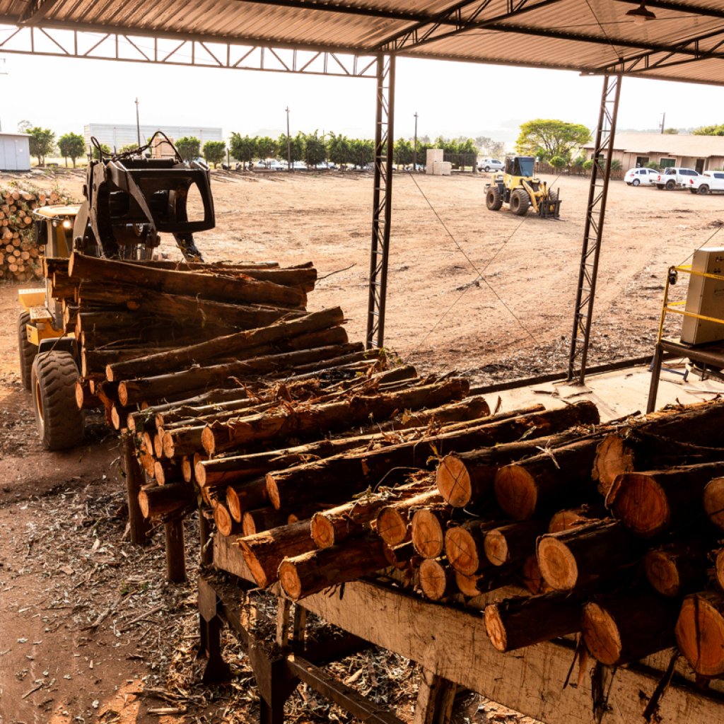 Madeireira – Paraná Wood