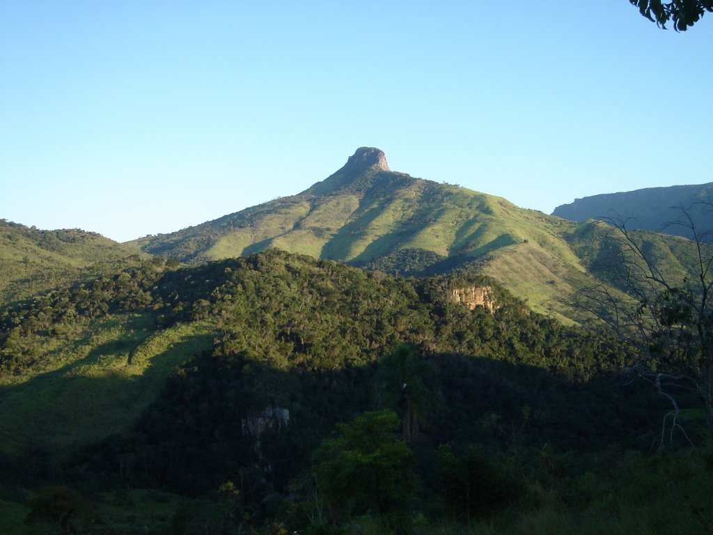 São Jerônimo da Serra, um paraíso a ser explorado – Paraná Wood