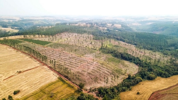 DJI_00190-2